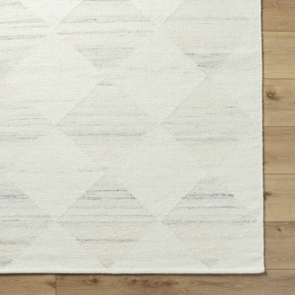 Rakin Area Rug Rugs TriadCommerceInc