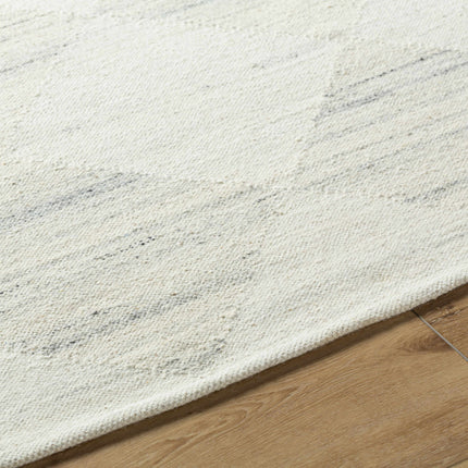 Rakin Area Rug Rugs TriadCommerceInc