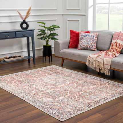 Bian Washable Area Rug - Clearance Rugs TriadCommerceInc