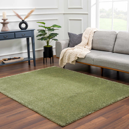 Heavenly Solid Green Plush Rug - Clearance Rugs TriadCommerceInc