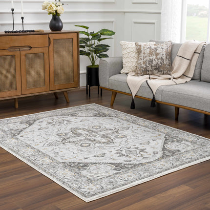 Liverpool Light Gray Area Rug - Clearance Rugs TriadCommerceInc