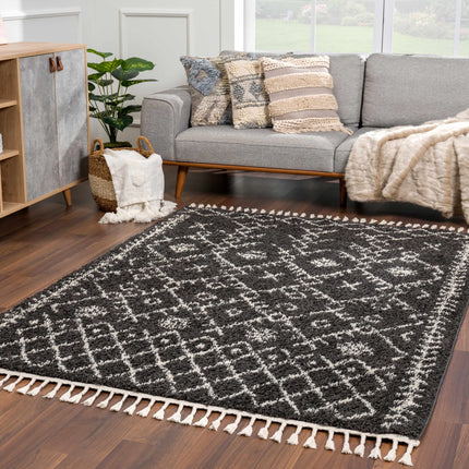 Thetford Black Berber Shag Rug - Clearance Rugs TriadCommerceInc