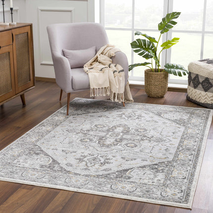 Liverpool Light Gray Area Rug - Clearance Rugs TriadCommerceInc