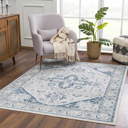 Liverpool Blue Area Rug - Clearance Rugs TriadCommerceInc