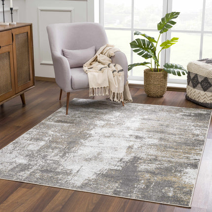 Liveree Gray Abstract Area Rug - Promo Rugs TriadCommerceInc