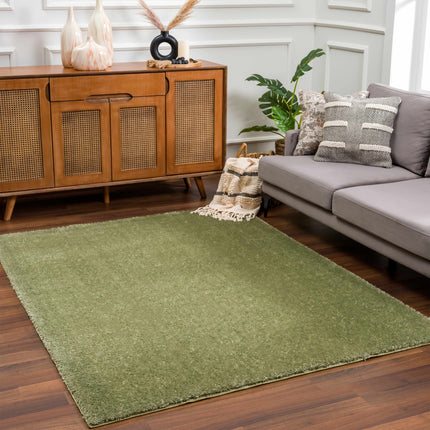 Heavenly Solid Green Plush Rug - Clearance Rugs TriadCommerceInc