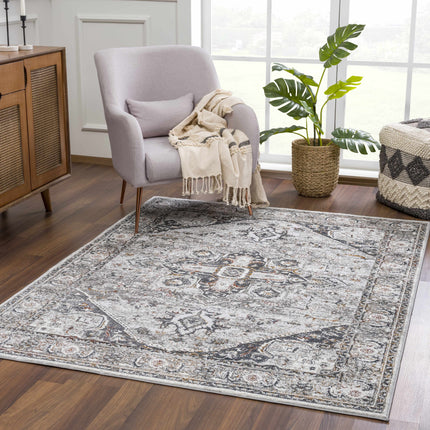 Liverpool Dark Gray Area Rug - Clearance Rugs TriadCommerceInc