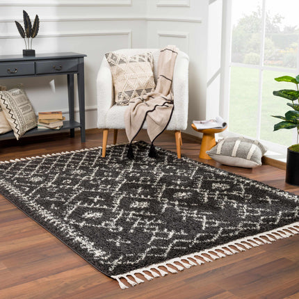 Thetford Black Berber Shag Rug - Clearance Rugs TriadCommerceInc