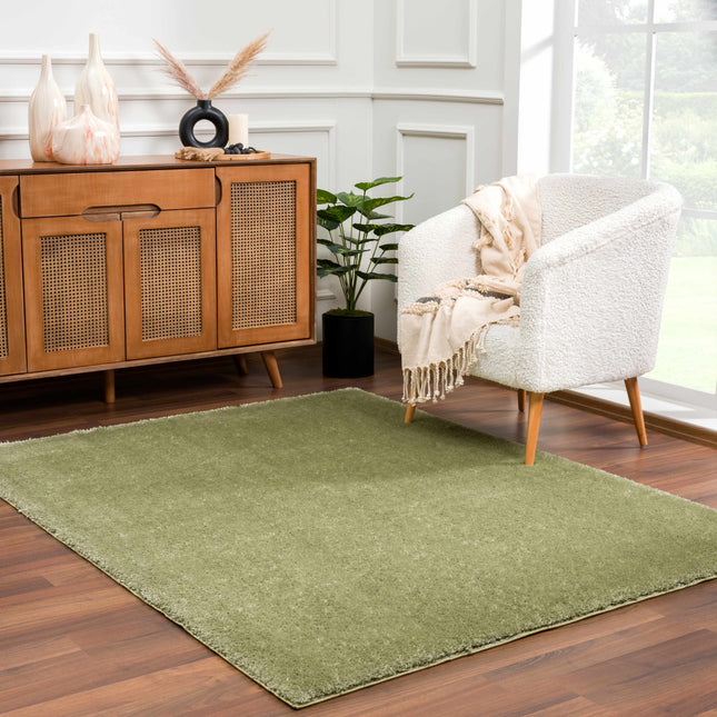 Heavenly Solid Green Plush Rug - Clearance Rugs TriadCommerceInc