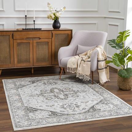 Liverpool Light Gray Area Rug - Clearance Rugs TriadCommerceInc