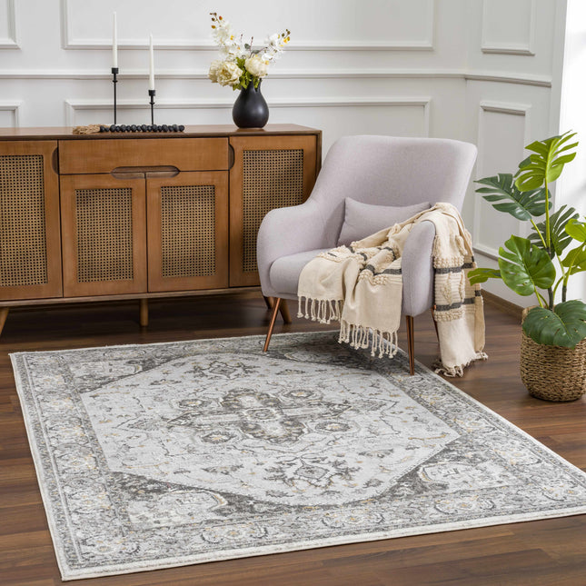 Liverpool Light Gray Area Rug - Clearance Rugs TriadCommerceInc