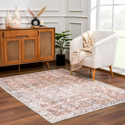 Bian Washable Area Rug - Clearance Rugs TriadCommerceInc
