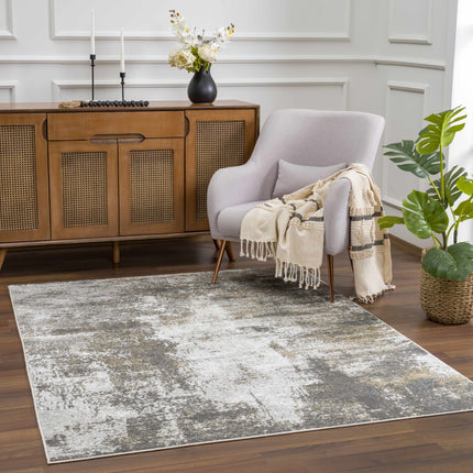 Liveree Gray Abstract Area Rug - Promo Rugs TriadCommerceInc