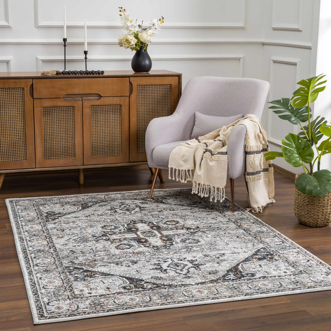 Liverpool Dark Gray Area Rug - Clearance Rugs TriadCommerceInc