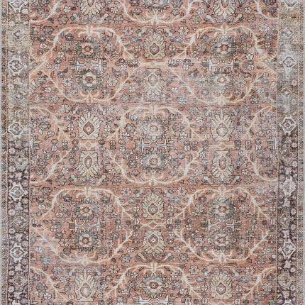 Bian Washable Area Rug - Clearance Rugs TriadCommerceInc