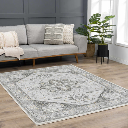 Liverpool Light Gray Area Rug - Clearance Rugs TriadCommerceInc