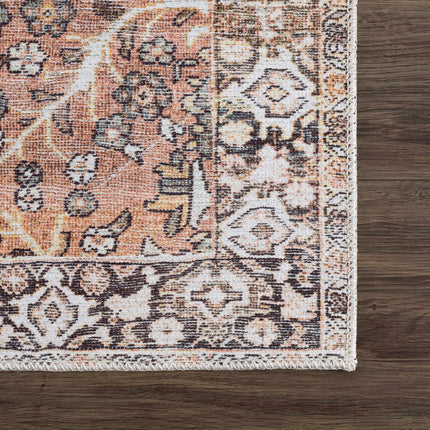 Bian Washable Area Rug - Clearance Rugs TriadCommerceInc