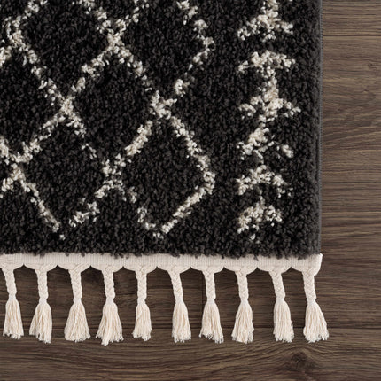 Thetford Black Berber Shag Rug - Clearance Rugs TriadCommerceInc