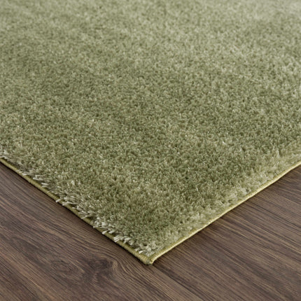 Heavenly Solid Green Plush Rug - Clearance Rugs TriadCommerceInc