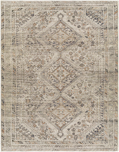 Barny Beige Flat Pile Washable Rug Rugs TriadCommerceInc