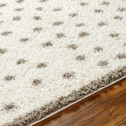 Chaia Dotted Cream & Gray Plush Rug Rugs TriadCommerceInc
