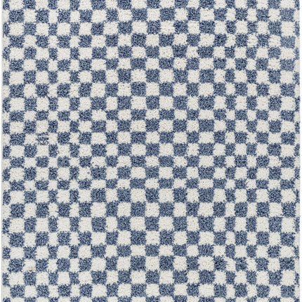 Kieu Blue & White Checkered Area Rug Rugs TriadCommerceInc