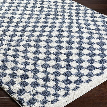 Kieu Blue & White Checkered Area Rug Rugs TriadCommerceInc