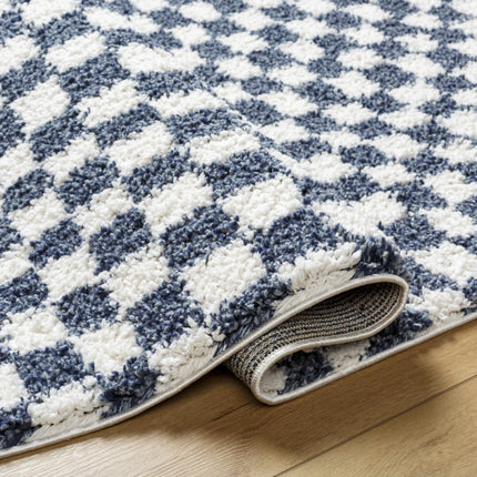Kieu Blue & White Checkered Area Rug Rugs TriadCommerceInc