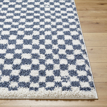 Kieu Blue & White Checkered Area Rug Rugs TriadCommerceInc