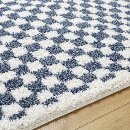 Kieu Blue & White Checkered Area Rug Rugs TriadCommerceInc