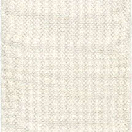 Kassa Cream Hand Woven Area Rug Rugs TriadCommerceInc 5' x 7'6" Rectangle