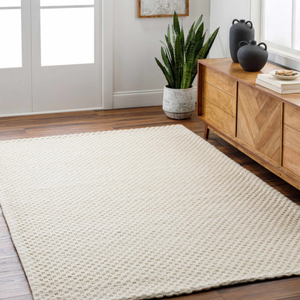 Kassa Cream Hand Woven Area Rug Rugs TriadCommerceInc