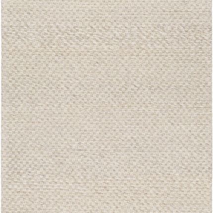 Kassa Beige Hand Woven Area Rug Rugs TriadCommerceInc 5' x 7'6" Rectangle