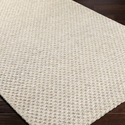 Kassa Beige Hand Woven Area Rug Rugs TriadCommerceInc