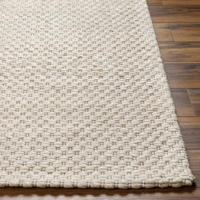 Kassa Beige Hand Woven Area Rug Rugs TriadCommerceInc