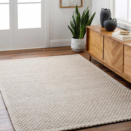 Kassa Beige Hand Woven Area Rug Rugs TriadCommerceInc