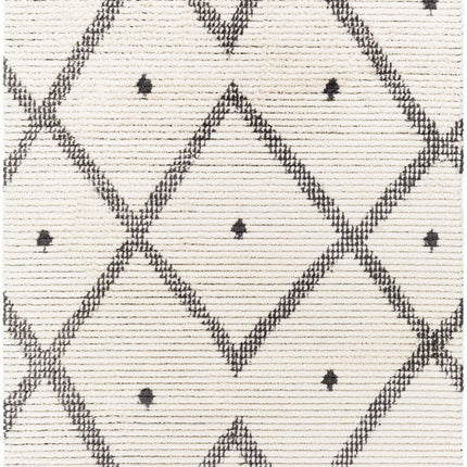 Shae Area Rug Rugs TriadCommerceInc 5'3" x 7' Rectangle