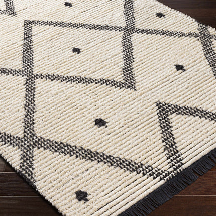 Shae Area Rug Rugs TriadCommerceInc