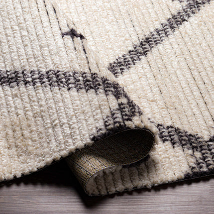 Shae Area Rug Rugs TriadCommerceInc
