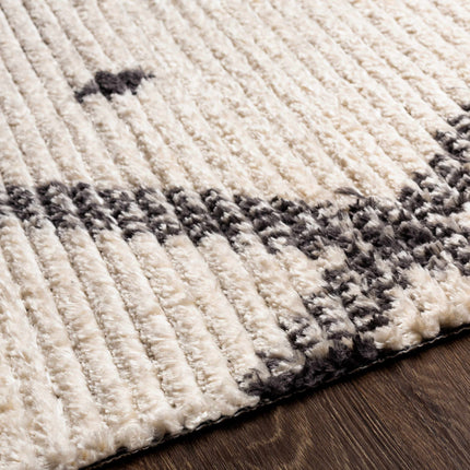 Shae Area Rug Rugs TriadCommerceInc