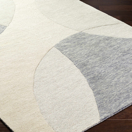 Cassiopeia Gray & Beige Area Rug Rugs TriadCommerceInc