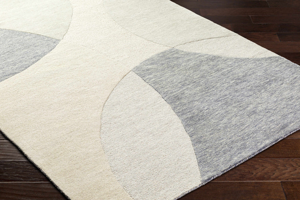 Cassiopeia Gray & Beige Area Rug Rugs TriadCommerceInc