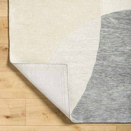 Cassiopeia Gray & Beige Area Rug Rugs TriadCommerceInc