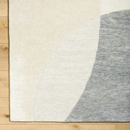 Cassiopeia Gray & Beige Area Rug Rugs TriadCommerceInc