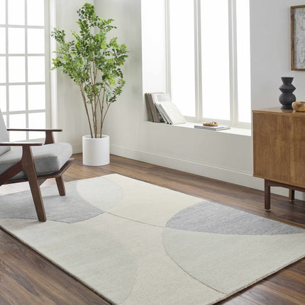 Cassiopeia Gray & Beige Area Rug Rugs TriadCommerceInc