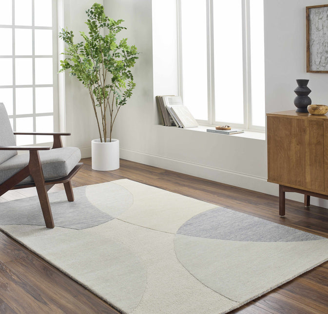 Cassiopeia Gray & Beige Area Rug Rugs TriadCommerceInc