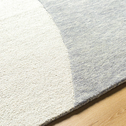 Cassiopeia Gray & Beige Area Rug Rugs TriadCommerceInc