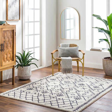 Elyes Beige Washable Area Rug Rugs TriadCommerceInc