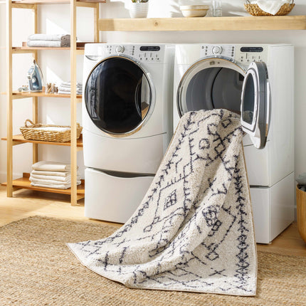 Elyes Beige Washable Area Rug Rugs TriadCommerceInc
