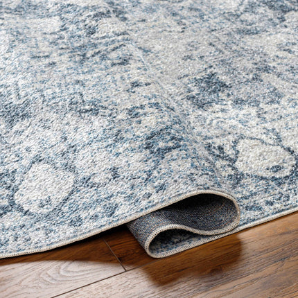 Ankti Aqua Washable Area Rug Rugs TriadCommerceInc
